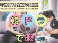 韓ドラ歴18年の主婦がVOD比較｜韓国（韓流）ドラマ観るなら、この動画配信サービスがおすすめ